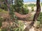 A wooden hammock in the woods on a sunny day is quite a restful place.