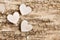 Wooden heart on bark background. Symbol of love