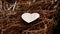 Wooden heart on coniferous needles covering the ground in a autumn pine wood