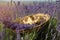 Wooden helicopter in basket with lavender