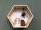 Wooden hexagon shelf pine on the wall with vase and flowers