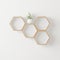 Wooden Hexagon shelf and tree copy space for mock up ,isolated background