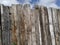 Wooden high fence and above it a blue sky with clouds