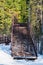 Wooden high staircase for walks in the coniferous forest, winter