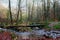 Wooden hiking bridge river, Hoegne, Ardennes, Belgium