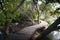 Wooden hiking trail in a forest - Krka Park, Croatia