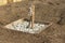 Wooden hole covered with decorative fine gravel for a fruit tree seedling