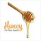 Wooden honey dipper isolated on a white background