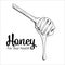 Wooden honey dipper on a white background