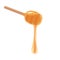 Wooden honey dipper on a white background