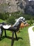Wooden horses for childs in a mountain hut