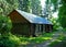 A wooden house in a birch forest.