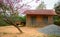 Wooden house with cherry tree in Dalat highlands, Vietnam