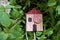 A wooden house, with a coin, in the midst of green plants. Concept of respect for environment