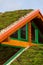 Wooden house with extensive green living roof covered with vegetation