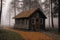 wooden house in a forest, autumn nature as background, overcast, trees and fog