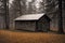 wooden house in a forest, autumn nature as background, overcast, trees and fog