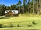 Wooden House on forrest meadow in Valaam island
