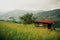 Wooden house on a green meadow