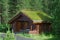 Wooden house with green roof in forest.