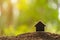 Wooden house growing in soil on green nature blur background. Home business grow up concept