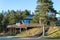 Wooden house on a hill surrounded by trees and plants