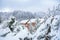 Wooden House in the Middle of Trees Covered with Snow, Wood / Lodge House Between Pine Forest and Branches covered by Snow, Winter