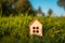 Wooden house model in grass