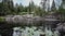 Wooden house on a mountain river. Lily pad leaves floating