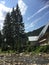 Wooden house between smereka trees in Carpathian Mountains