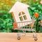 Wooden house in a Supermarket trolley. Property investment and mortgage financial concept. Buying, renting and selling apartments