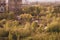 Wooden houses in the forest near modern building construction aerial view. rural landscape