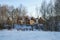 Wooden houses, illuminated by the setting sun, among the birch forest.