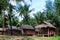 Wooden houses at the jungle between coconut palm trees.