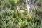 A Wooden Human Manikin flying with a green leaf wingsuit on through green plants