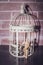 Wooden Human Manikin locked inside a white ornamental bird cage