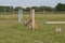 Wooden hurdle for jumping on a horse on meadow in the summer day