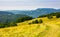 Wooden hut on alpine grassy meadow