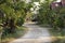 Wooden hut in garden of resort and homestay for thai people and foreigner travelers rent and rest in Chaiyaphum, Thailand