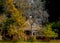 Wooden hut with a large park and trees