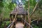 Wooden hut in mangrove Jozani forest, Zanzibar, Tanzania, Africa