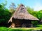 Wooden hut with thatched roof in Pirogovo museum.