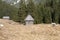 Wooden huts in Chocholowska valley in spring, Tatra Mountains,