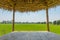 The wooden huts in a rice green in the field a vast area