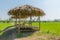 The wooden huts in a rice green in the field a vast area