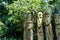 Wooden idols at the zoo