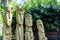 Wooden idols at the zoo