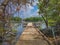 A wooden jetty boat and a swampy mangrove background.