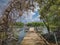 A wooden jetty boat and a swampy mangrove background.