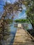 A wooden jetty boat and a swampy mangrove background.